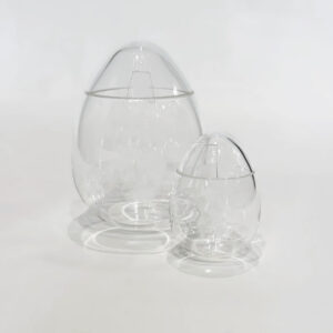 l'Œuf de décontamination